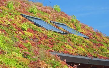 Woolwich living roof systems